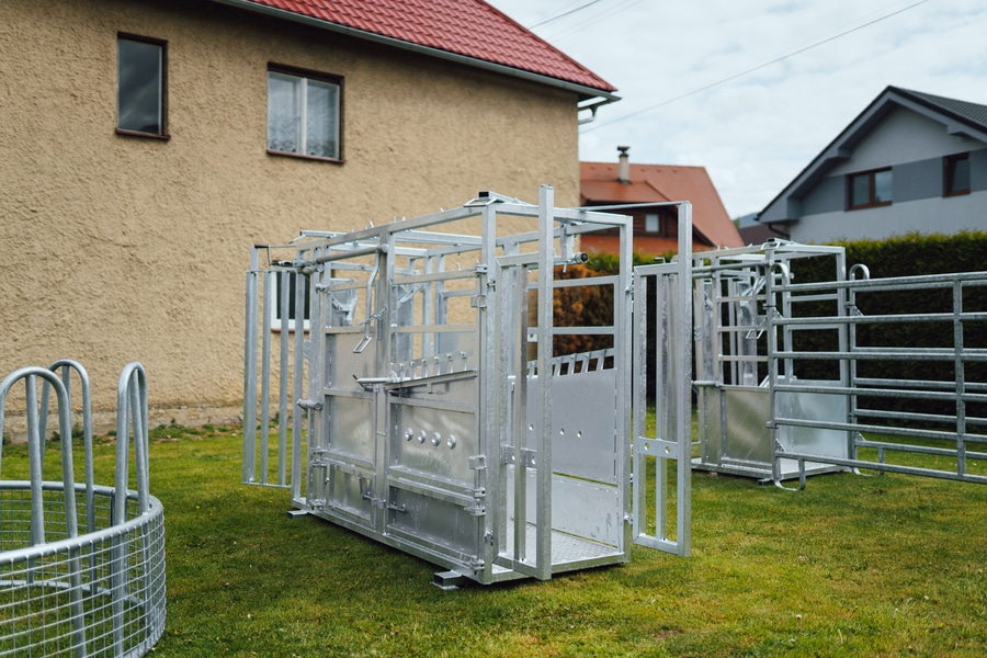 Cattle restraint cage - Image 2