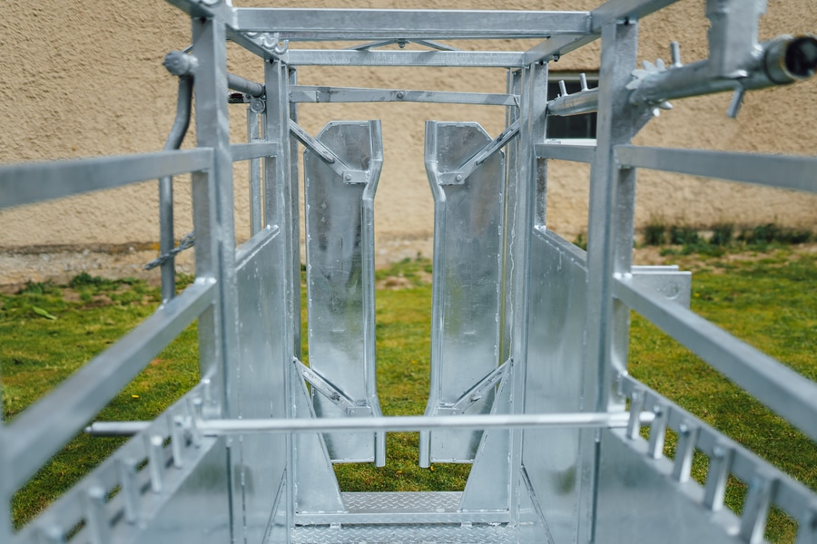 Cattle restraint cage - Image 6