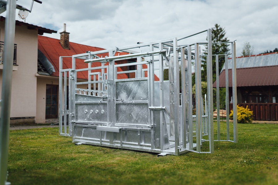 Cattle restraint cage - Image 8