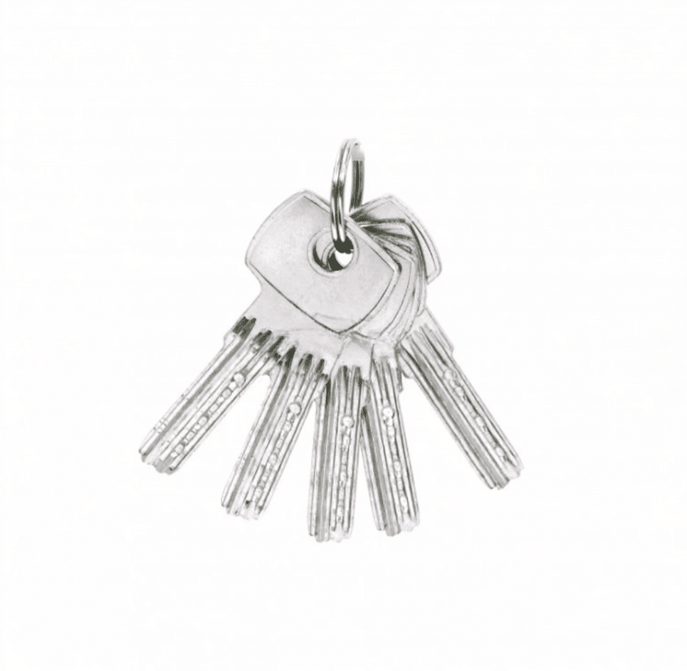 GOLEM Security Padlock - Image 2