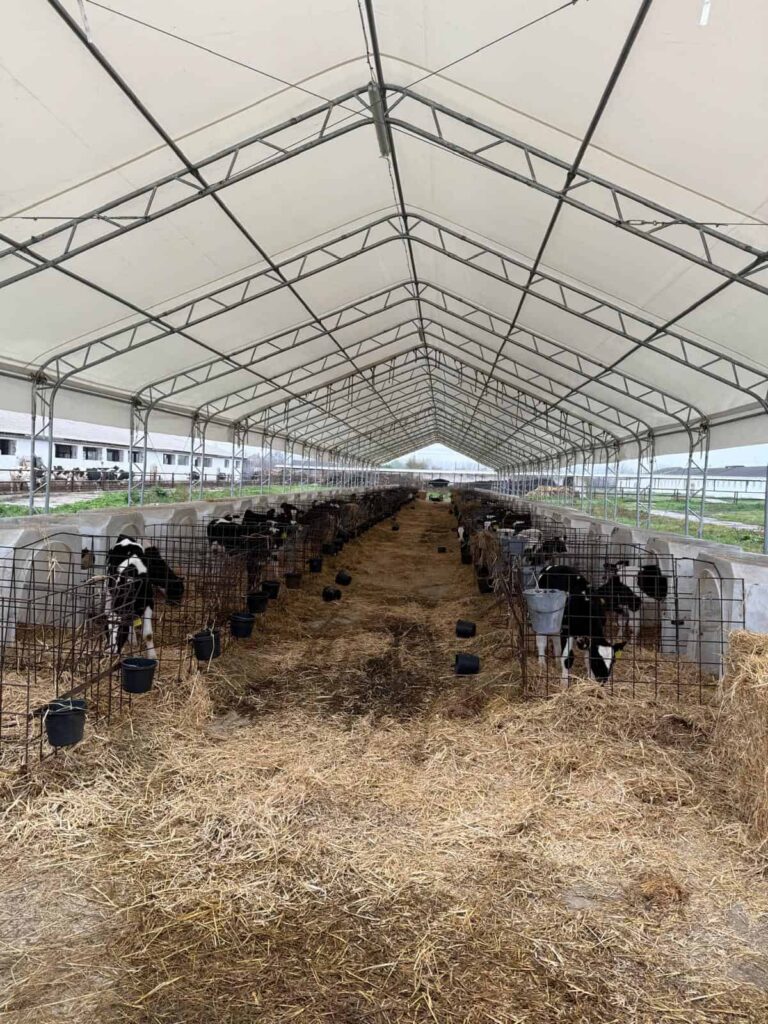 Atypická hala Hagro so zrezanými bokmi – interiér so slamou